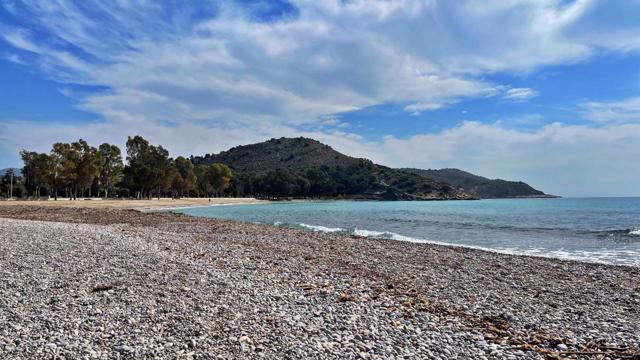 Imagen Playa El Torres 2